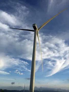 频率分布图示意